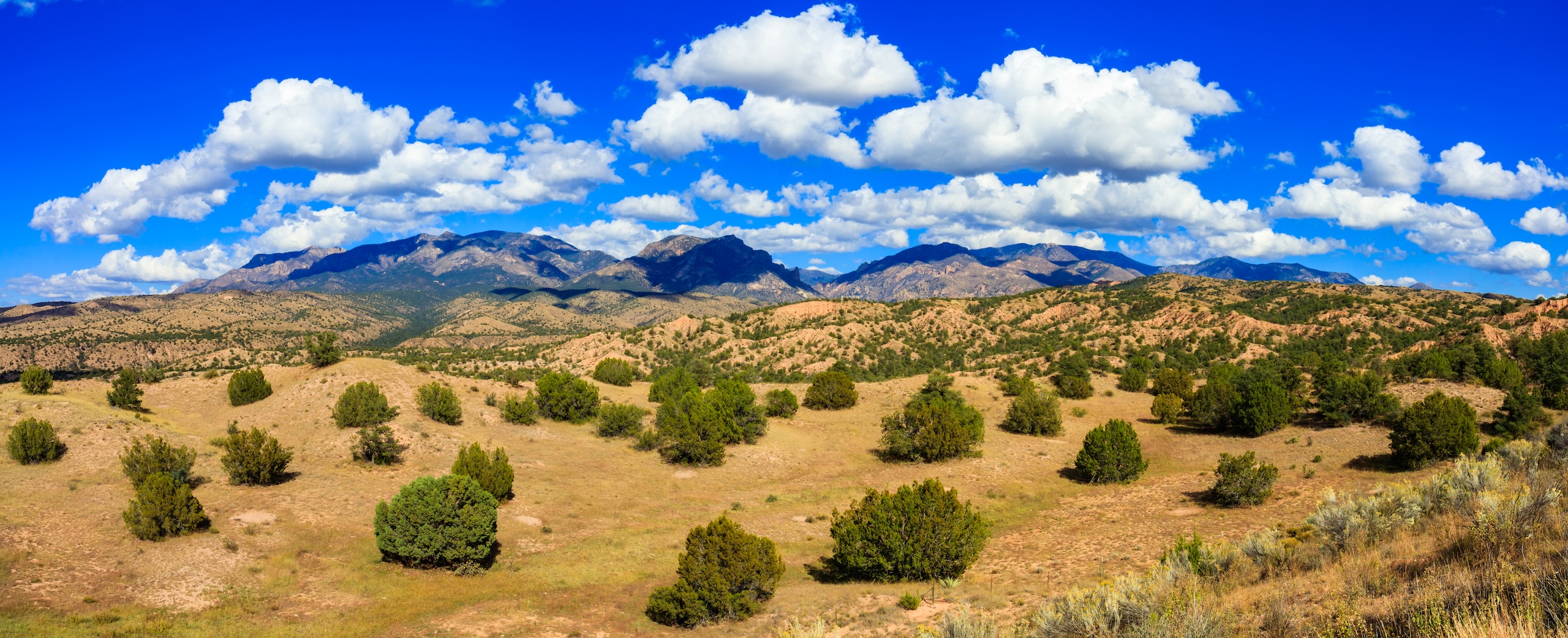 New Mexico landscape — out-of-school time
