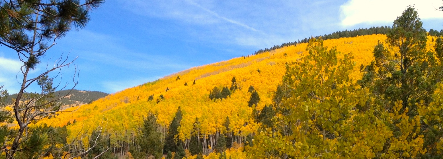 Santa Fe aspens — ASCEND family learning ecosystem