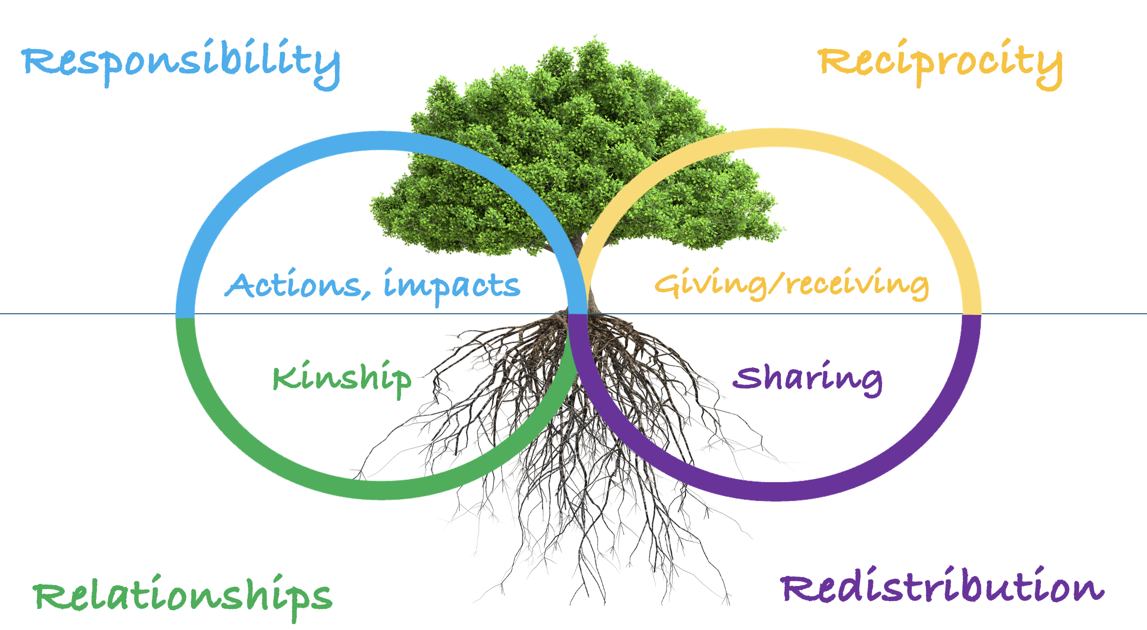 The 4Rs Tree — Reciprocity, Relationships, Responsibility, Redistribution