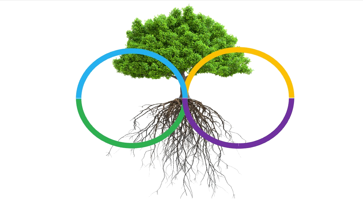 Tree of ReKnowing — Life pathway